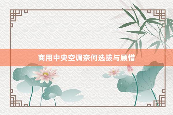 商用中央空调奈何选拔与顾惜